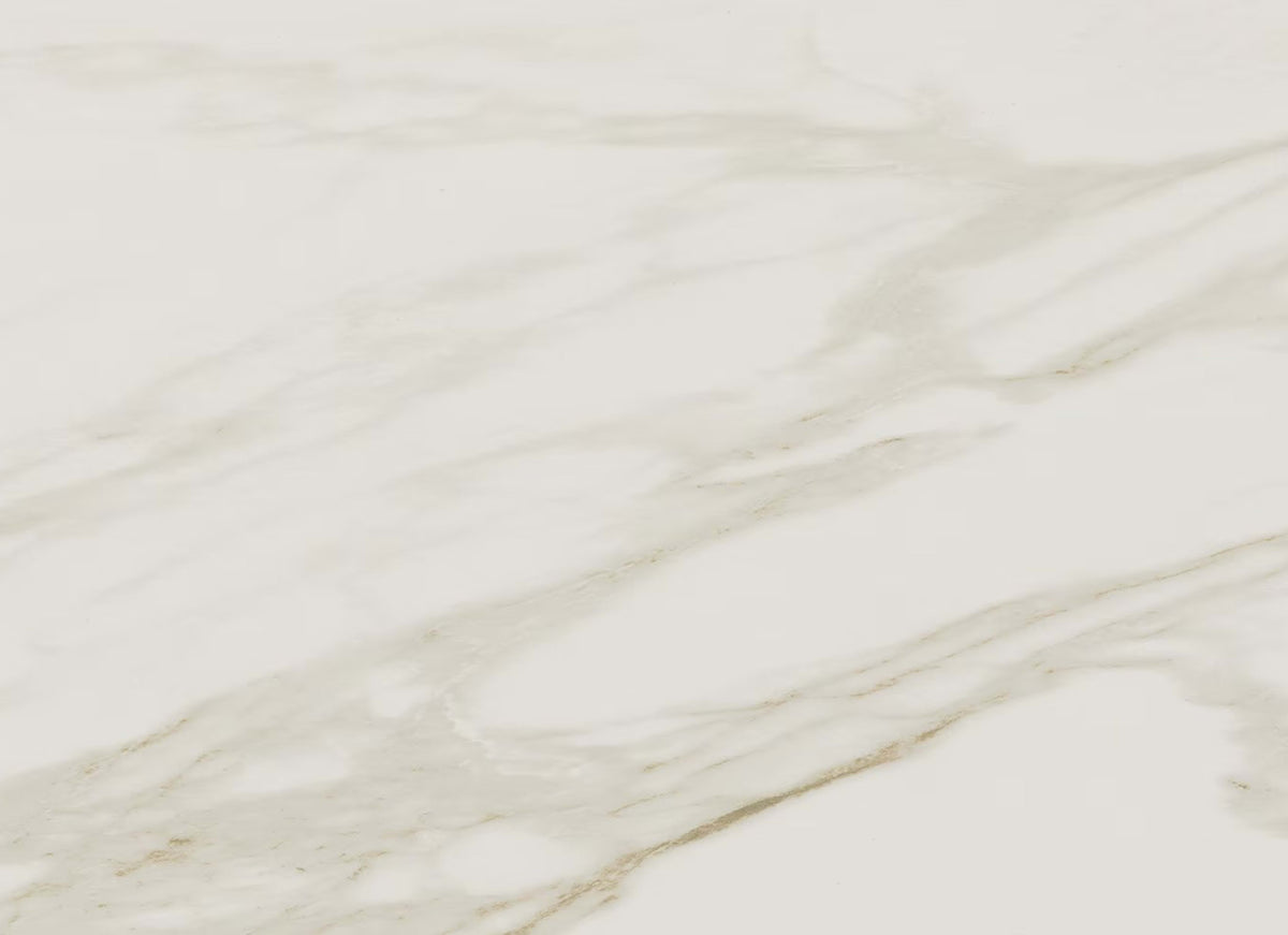 Perpetuo in Brilliant White 12x24