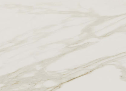 Perpetuo in Brilliant White 12x24