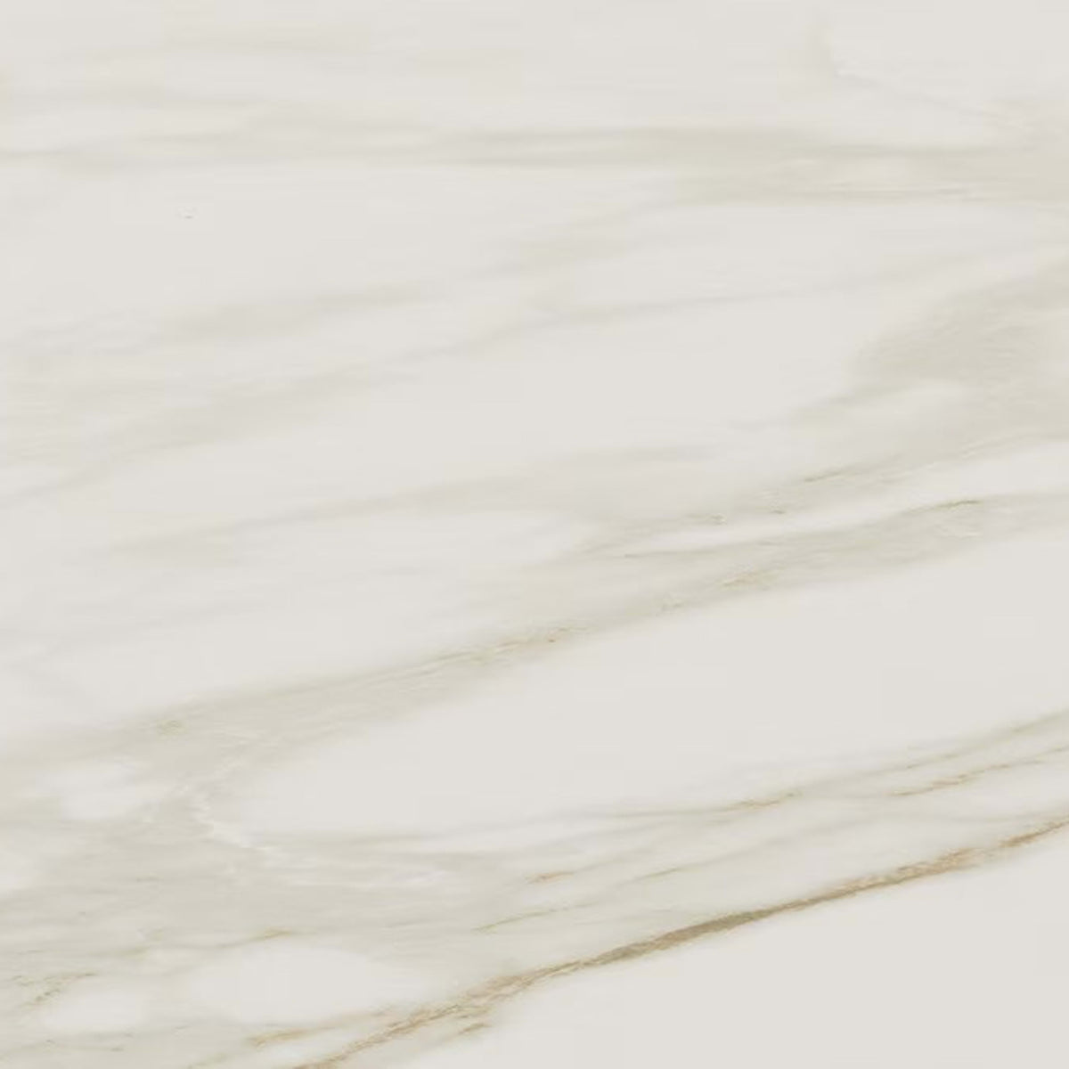 Perpetuo in Brilliant White 4x12 Tile