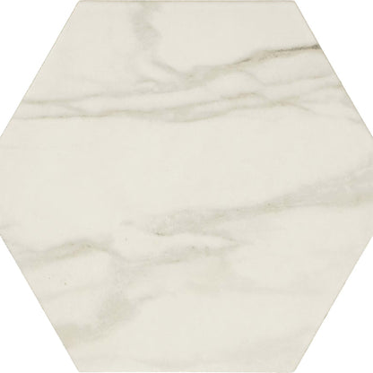 Perpetuo in Brilliant White Hexagon 8 Tile