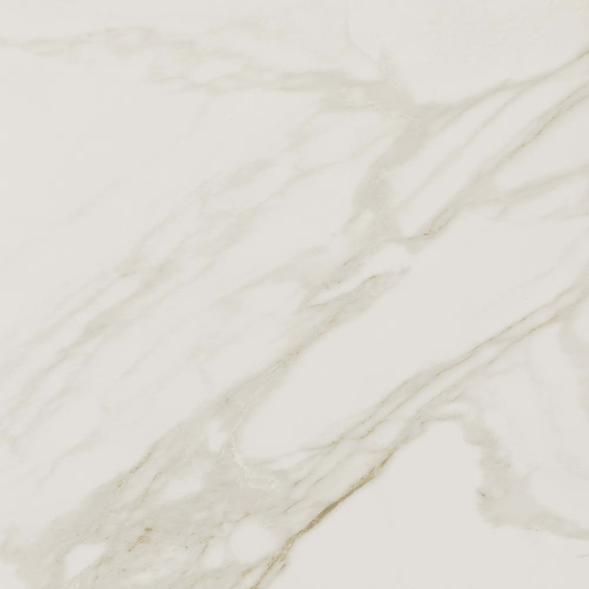 Perpetuo in Brilliant White 24x24 Tile