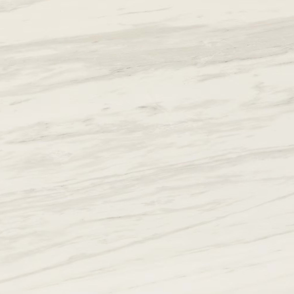 Perpetuo in Timeless White 12x24 Tile