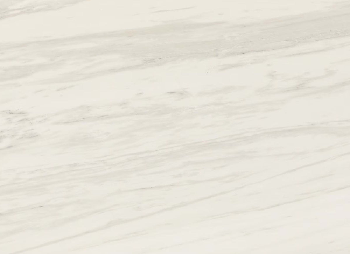 Perpetuo in Timeless White 12x24