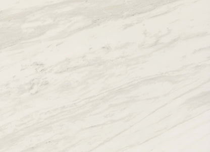 Perpetuo in Timeless White 12x12