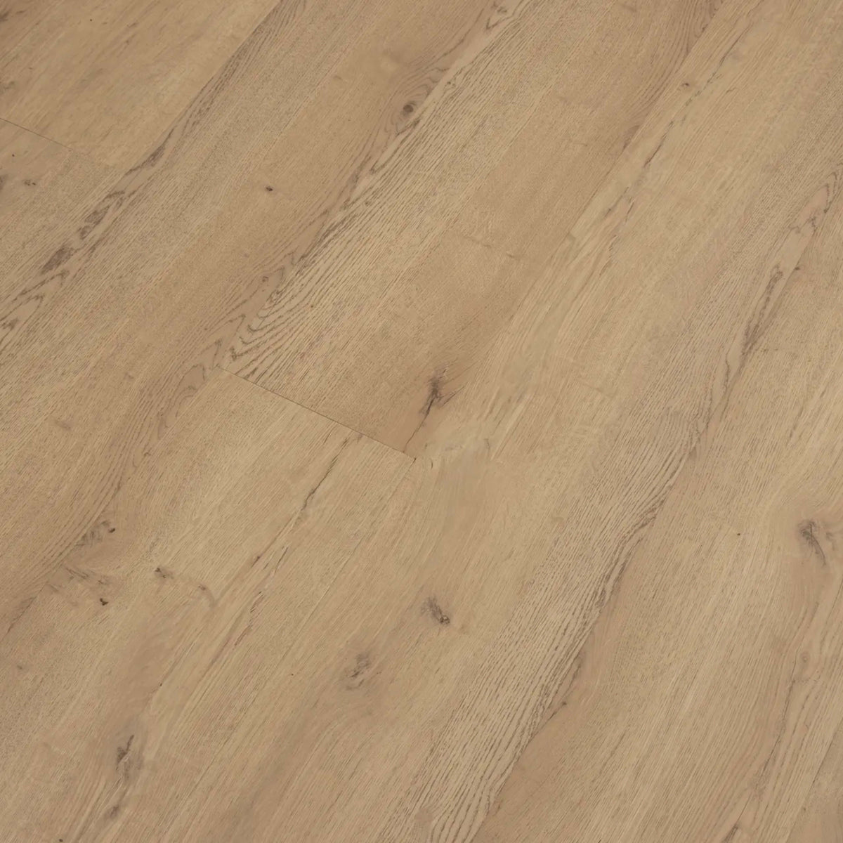 Mavericks in Pillar Point Laminate
