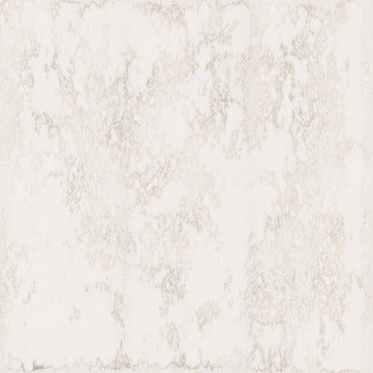 Quartz Collection in Altamonte Solid Surface