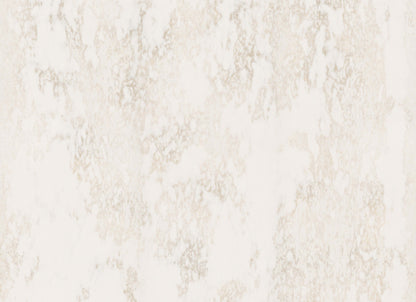Quartz Collection in Altamonte