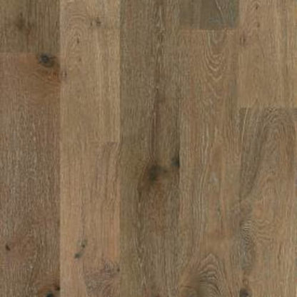 Argonne Forest Oak