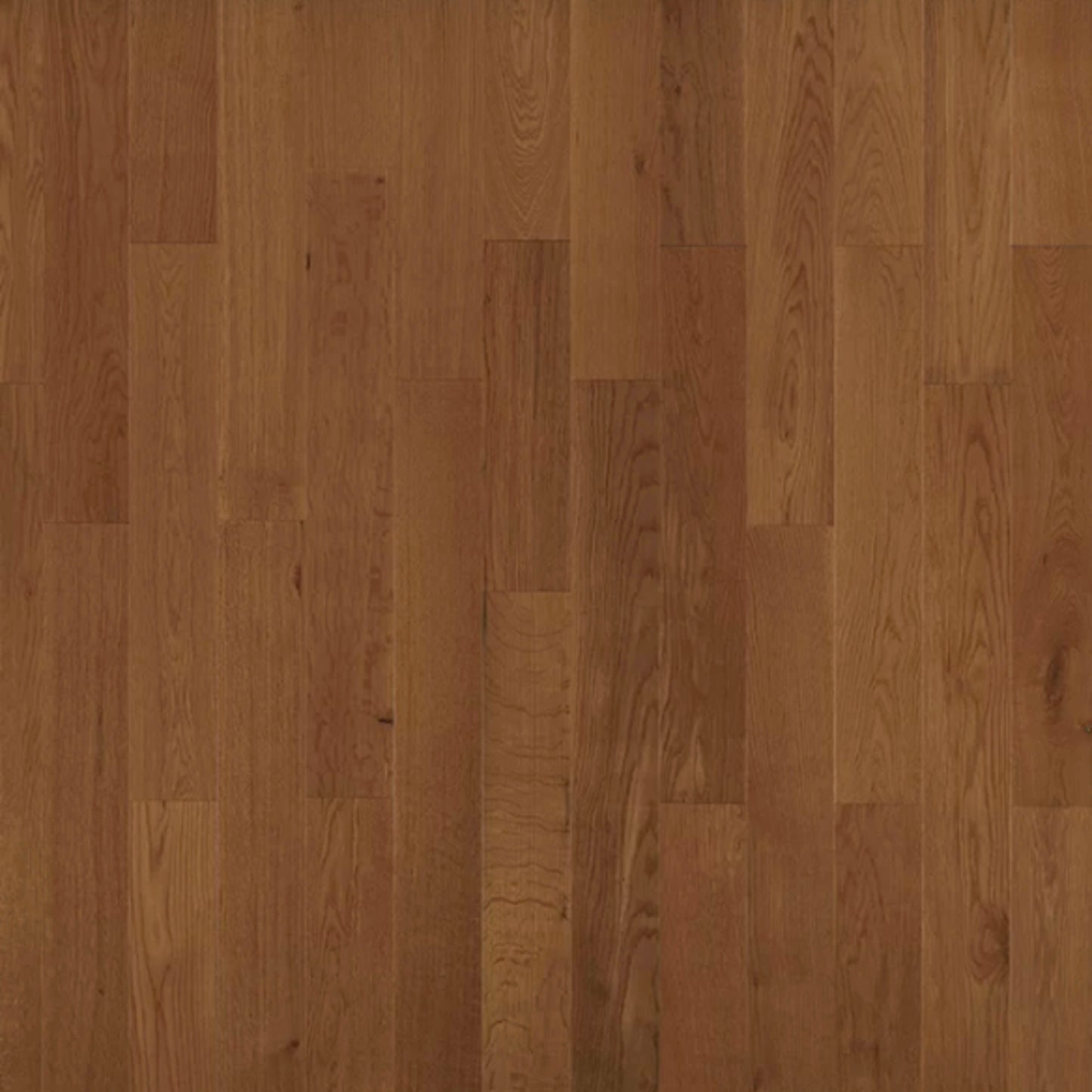 American Traditional Classics in Saddle White Oak 5" Hardwood