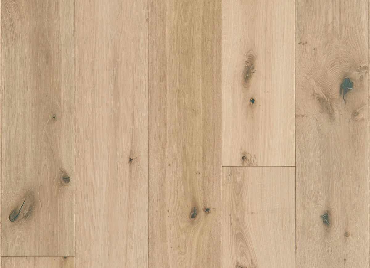 Latitude Collection - Sanctuary in Shell