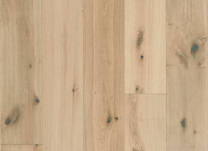 Latitude Collection - Sanctuary in Shell