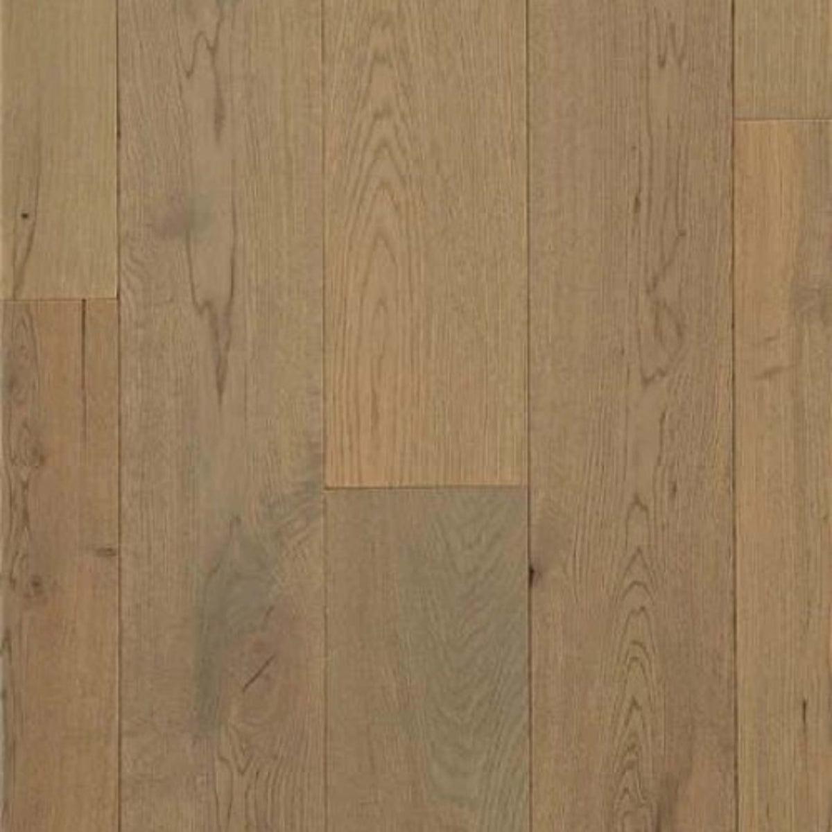 Lauderhill in White Oak - Shadow Hardwood
