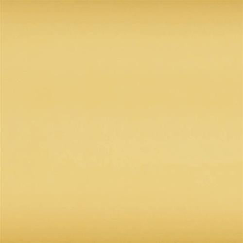 Slide in Caramel - 8x24 Tile