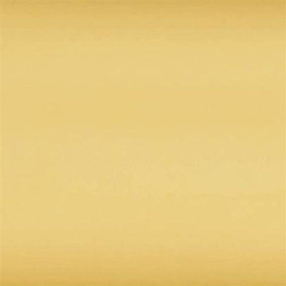 Slide in Caramel - 8x24 Tile