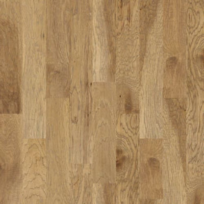 Sequoia 6 3/8