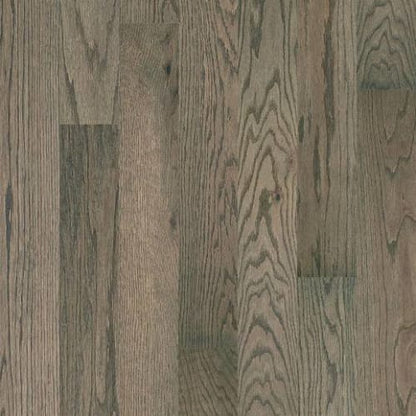 SANCTUARY OAK