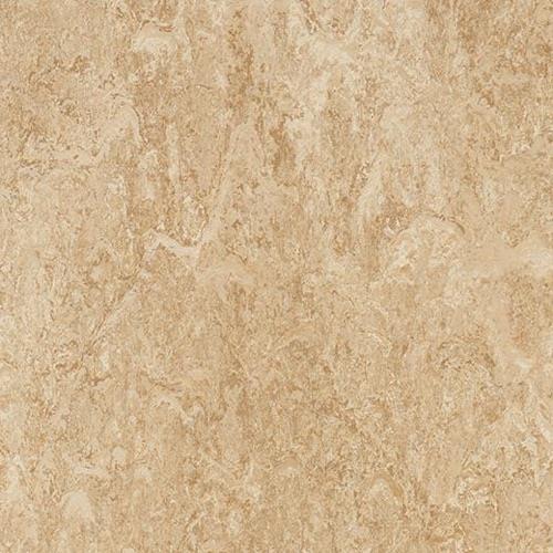 Marmoleum Modular in Barley Vinyl Sheet Goods