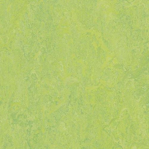 Marmoleum Modular in Refreshing Green Vinyl Sheet Goods