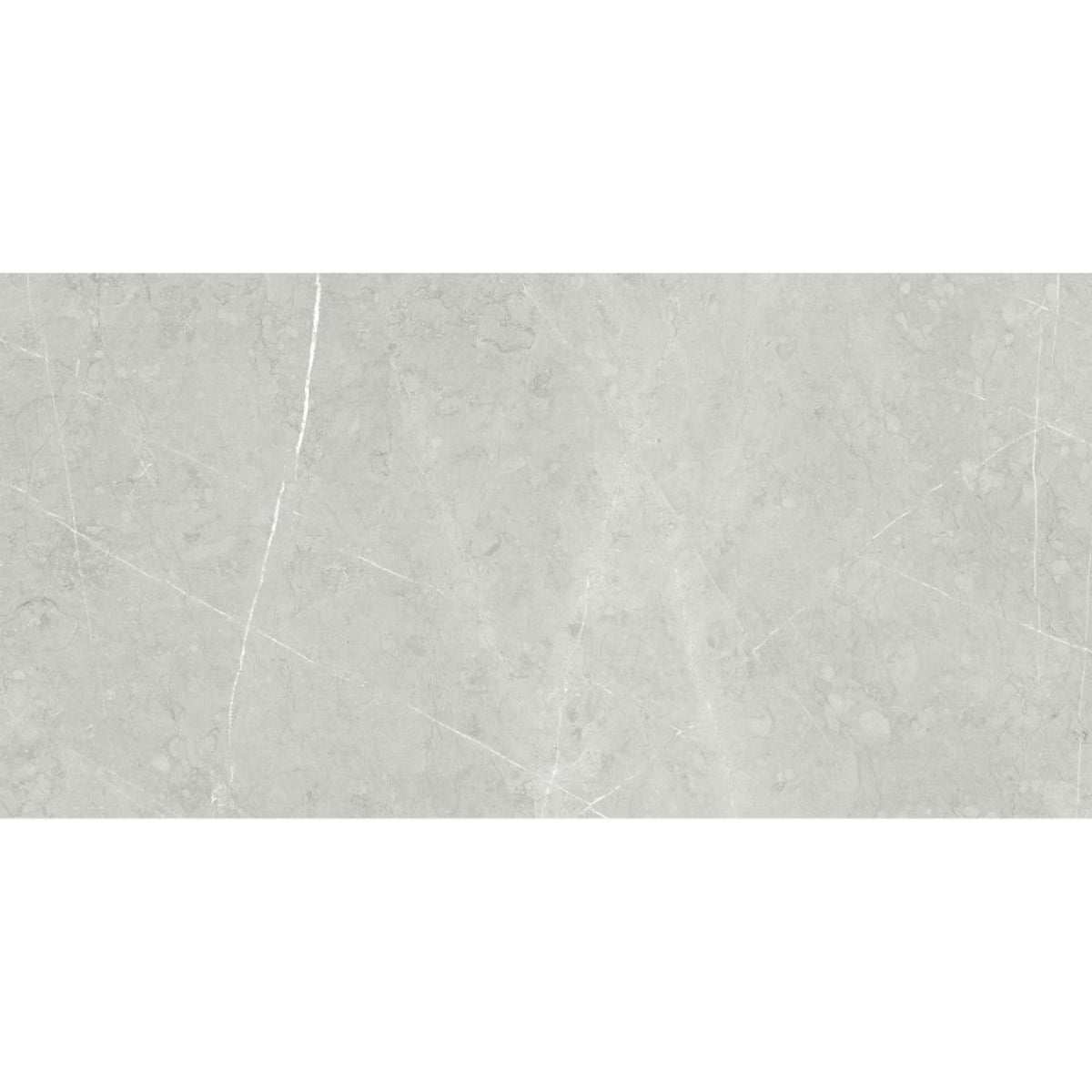 Altamura in Silver Tile
