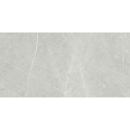 Altamura in Silver Tile