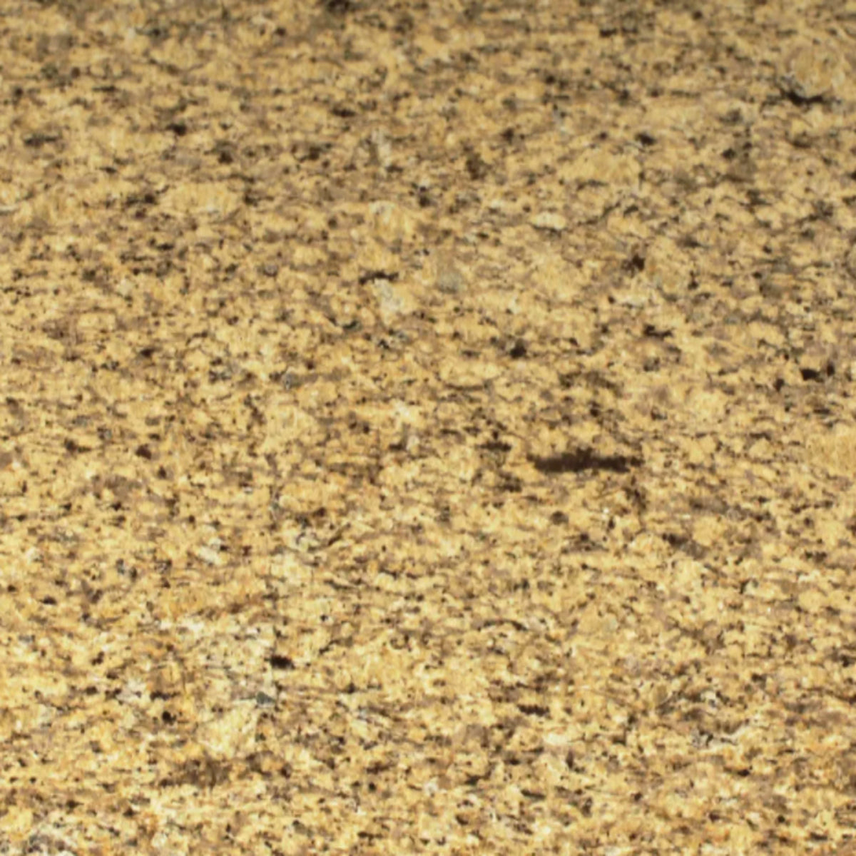 Sensa in Tanami Natural Stone