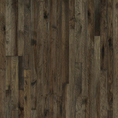 Organic Solid Collection in Turmeric Hickory Hardwood