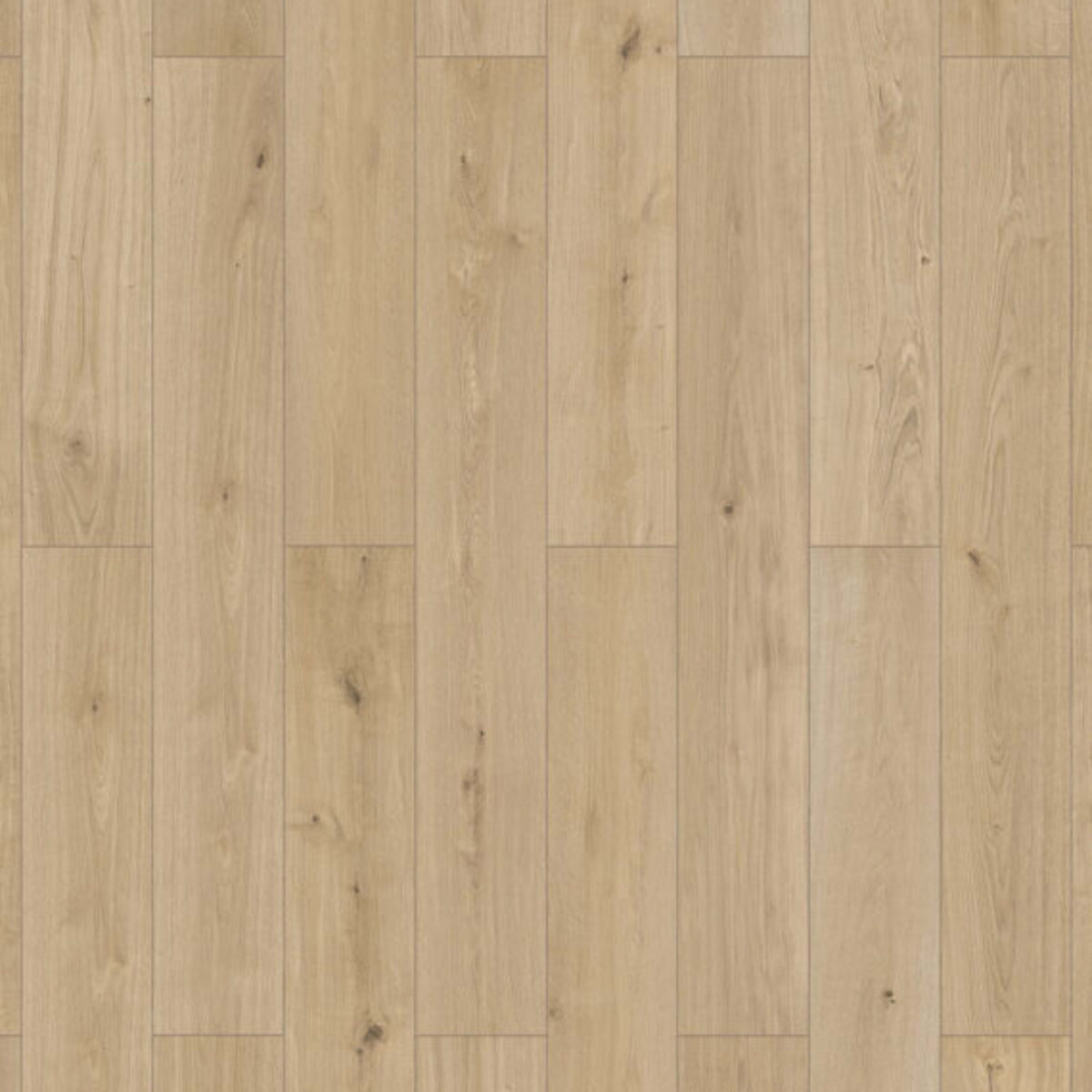 Ceramin - Elandura in Urban Luxury Vinyl