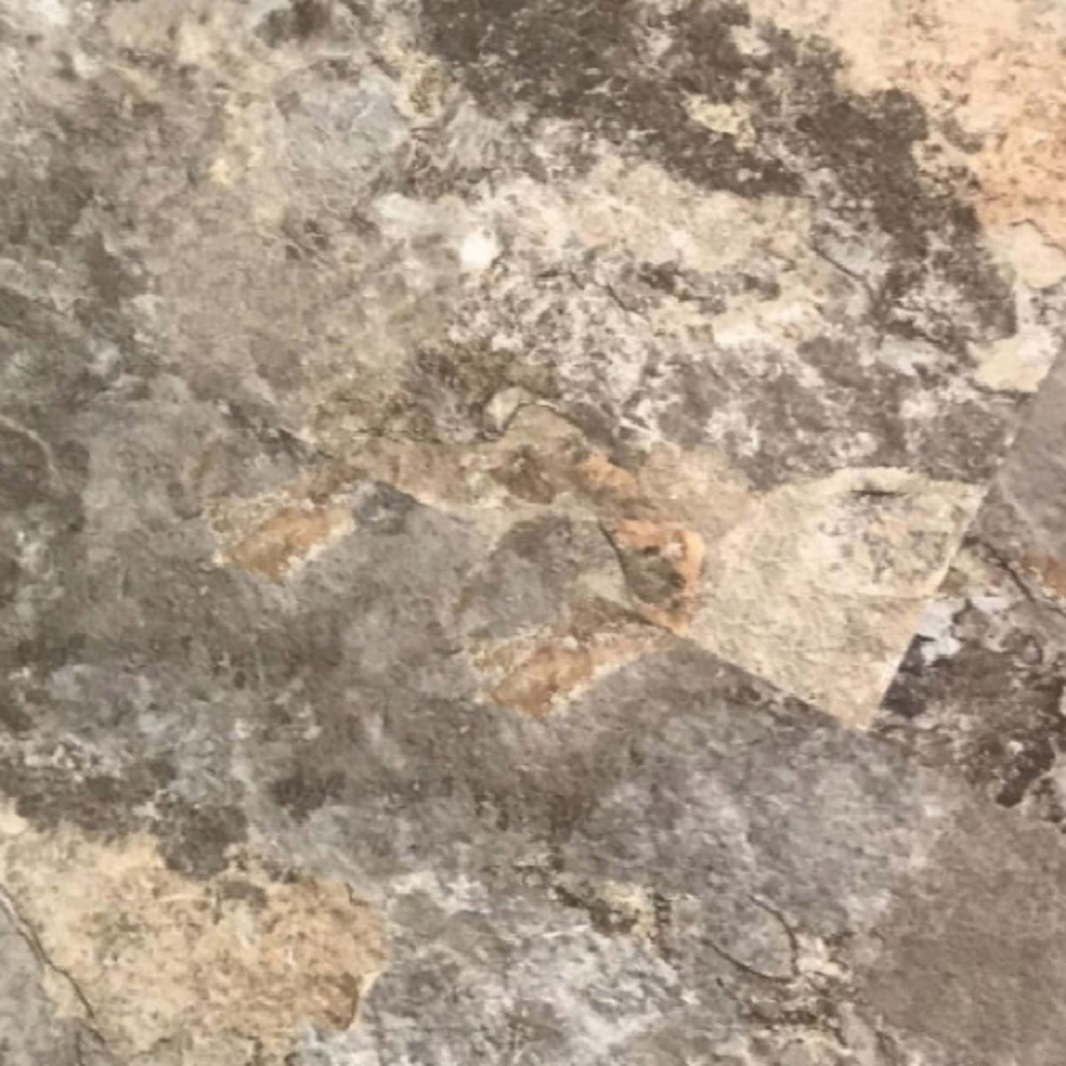 Venetian Collection in Basilica Luxury Vinyl