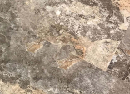 Venetian Collection in Basilica