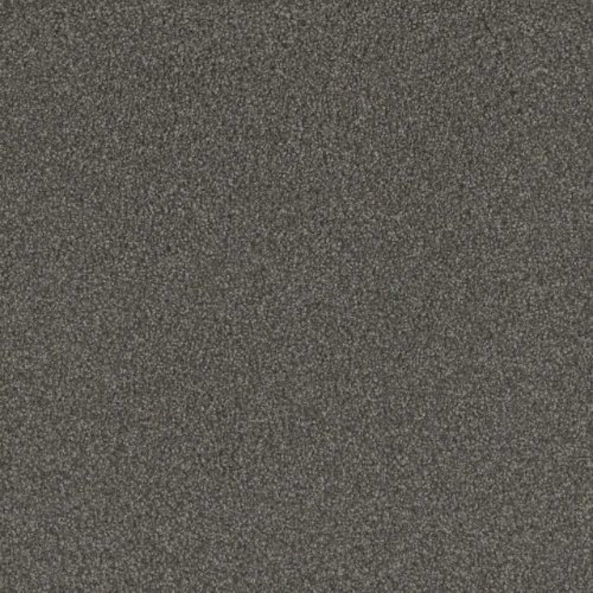 No Limits I in Warm Shadow Carpet