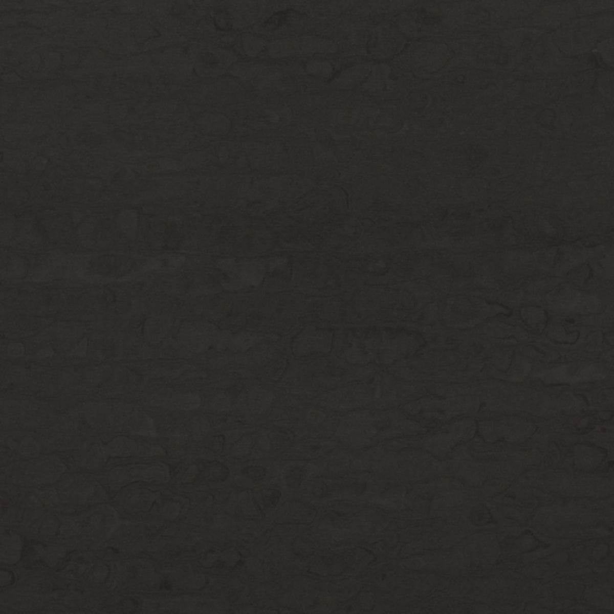 Solid Surface Collection in Saharan Night Solid Surface