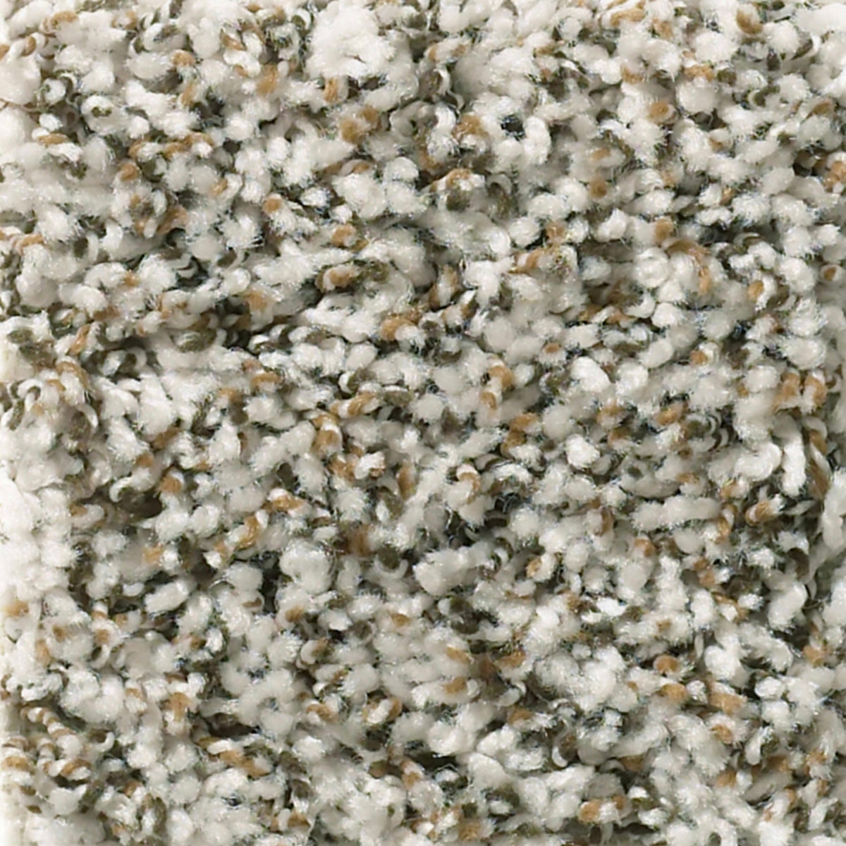 Wellington (B) in Coastline Carpet