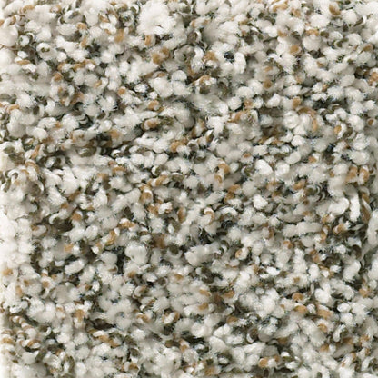 Wellington (B) in Coastline Carpet