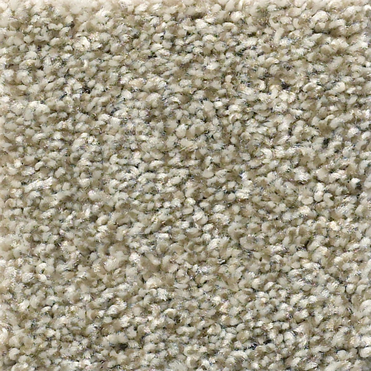 Windsor (T) in Feather Carpet